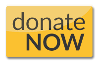 LEAP-donate-now-web-button_web
